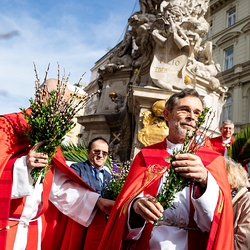 2025 Palmsonntag / Erzdiözese Wien/ Schönlaub, Stephan Schönlaub