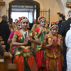 25 Jahre Stadterhebung Gerasdorf / www.markus-goestl.at