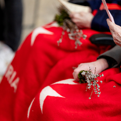 2025 Palmsonntag / Erzdiözese Wien/ Schönlaub, Stephan Schönlaub