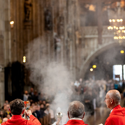 2025 Palmsonntag / Erzdiözese Wien/ Schönlaub, Stephan Schönlaub
