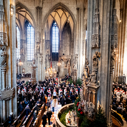 Stephanifest / Erzdiözese Wien/Schönlaub, Stephan Schönlaub