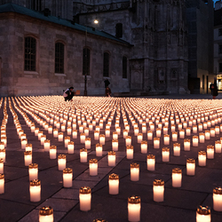 Erzdiözese Wien/Schönlaub
