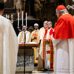 Göttlichen Liturgie / Erzdiözese Wien/ Schönlaub, Stephan Schönlaub