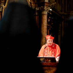 Erzdiözese Wien/ Schönlaub, Stephan Schönlaub