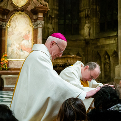 Welttag der Kranken / Erzdiözese Wien/Hafellner