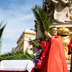 2025 Palmsonntag / Erzdiözese Wien/ Schönlaub, Stephan Schönlaub