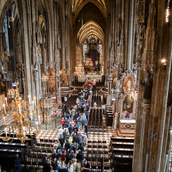 2025 Palmsonntag / Erzdiözese Wien/ Schönlaub, Stephan Schönlaub