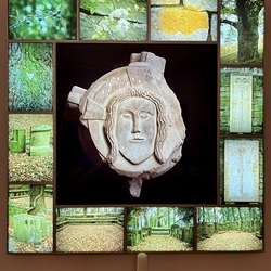 Erzdiözese Wien/Oliver Steinringer